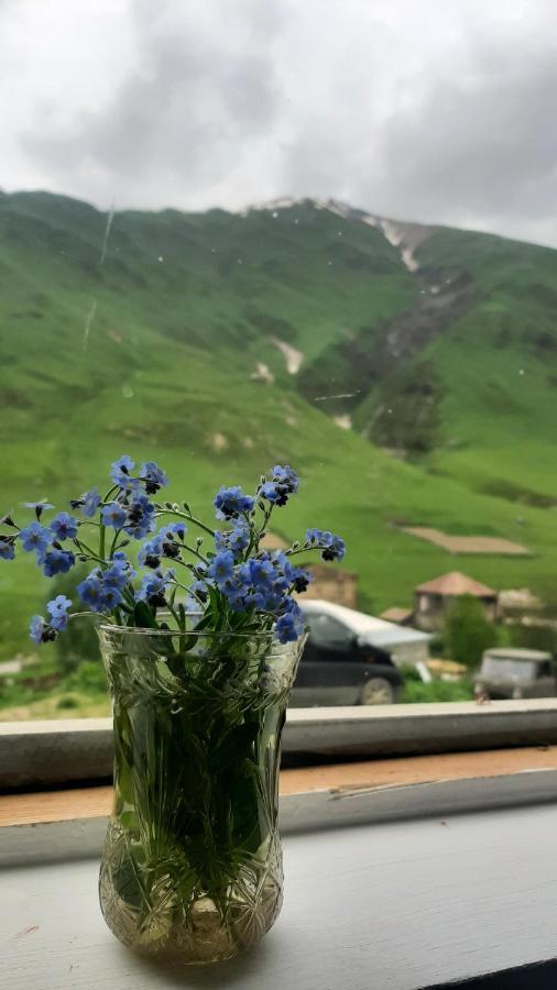 Guesthouse Svanuri Sakhli Ushguli Buitenkant foto